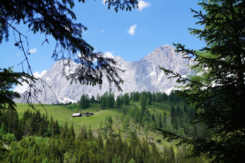 Haus Latschenheim Daire Ramsau am Dachstein Dış mekan fotoğraf