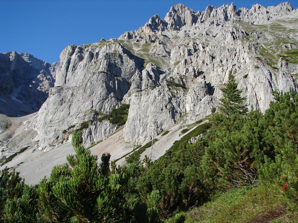 Haus Latschenheim Daire Ramsau am Dachstein Dış mekan fotoğraf