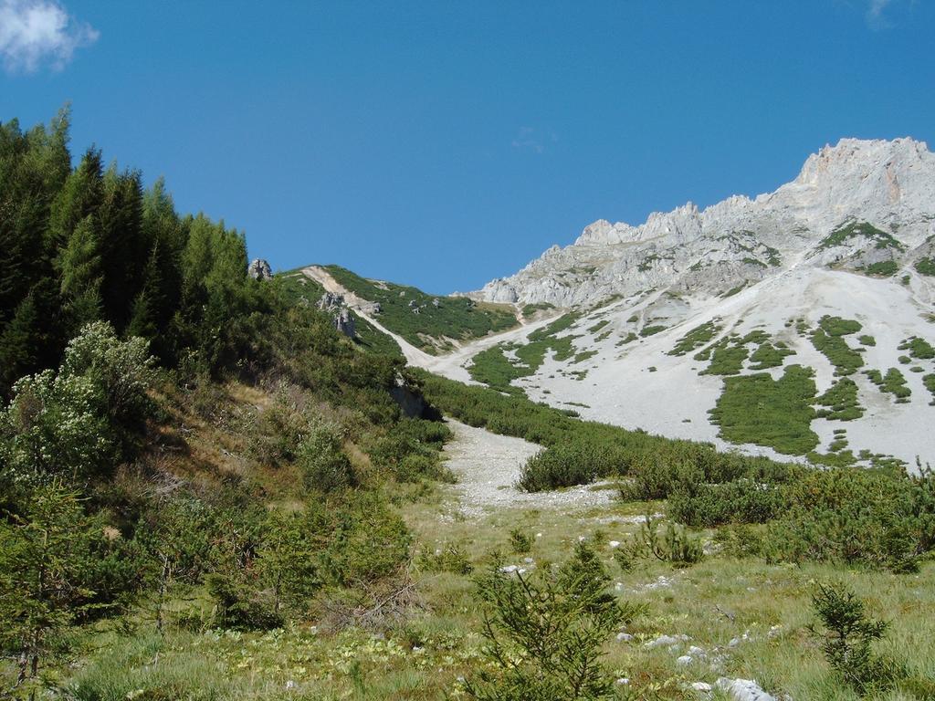 Haus Latschenheim Daire Ramsau am Dachstein Dış mekan fotoğraf