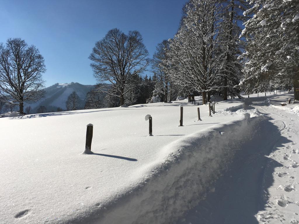 Haus Latschenheim Daire Ramsau am Dachstein Dış mekan fotoğraf